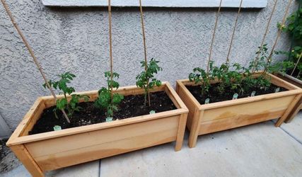 NEW Planter Boxes