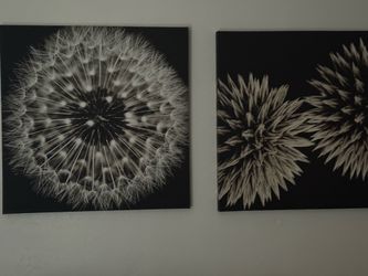 Free wall Art