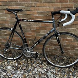 Campagnolo Univega Road Bike  60cm (XL)