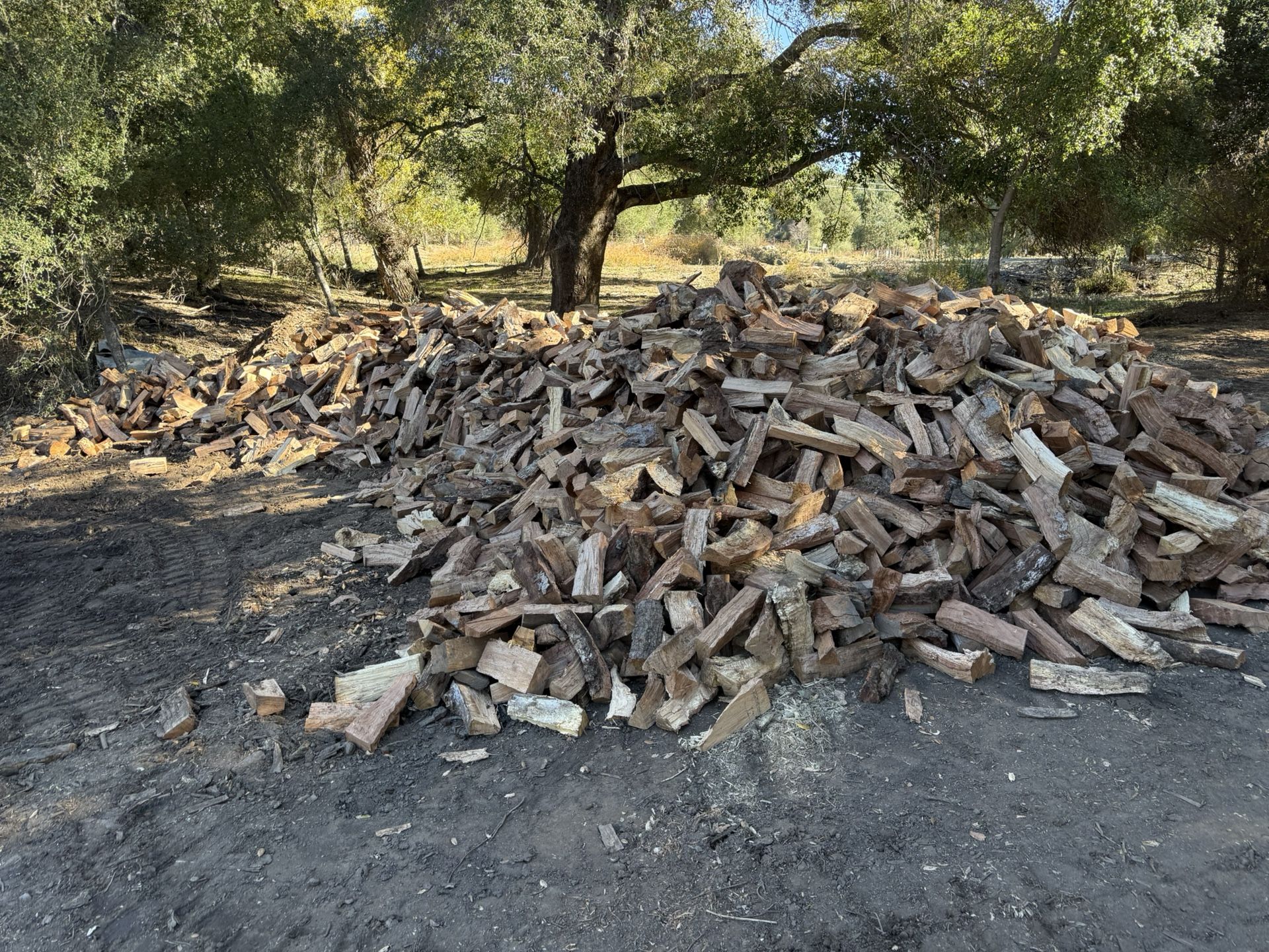 Oak Firewood 