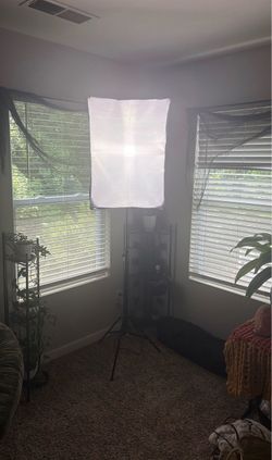 Softbox Studio Light w/ Stand – Perfect for Content Creators