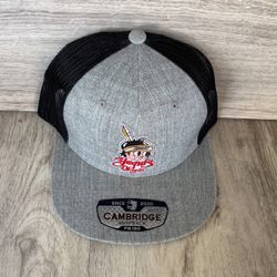 Snapback Hat$20