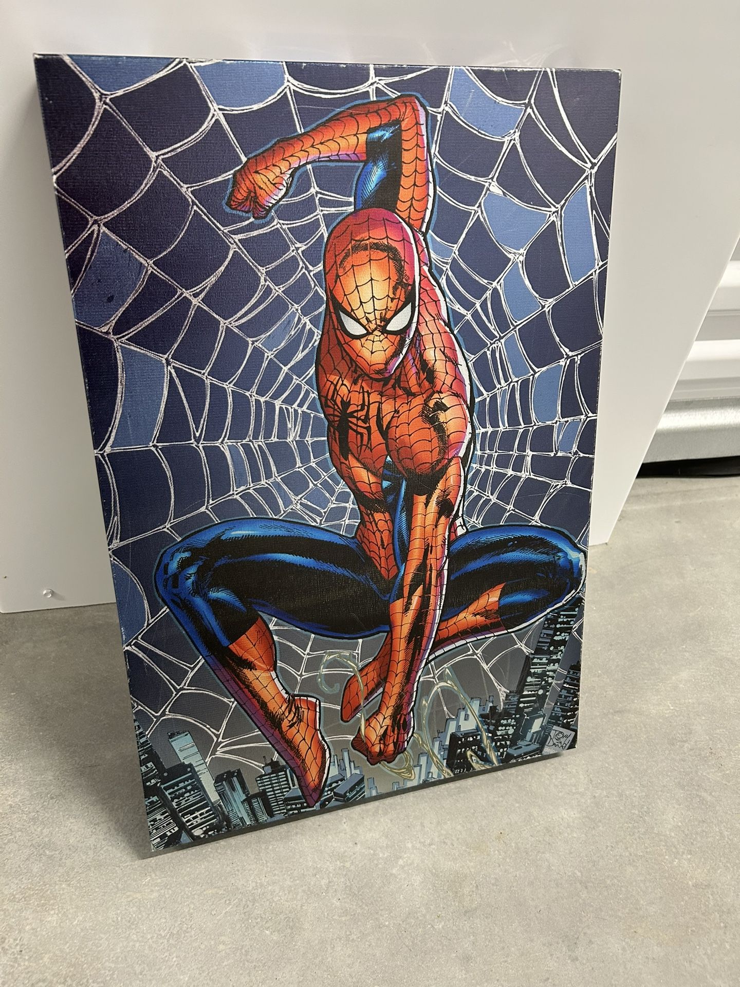 Spider Man Canvas