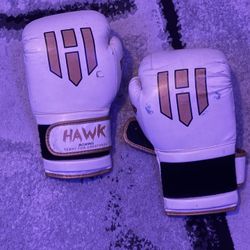 HAWK boxing Gloves 12Oz