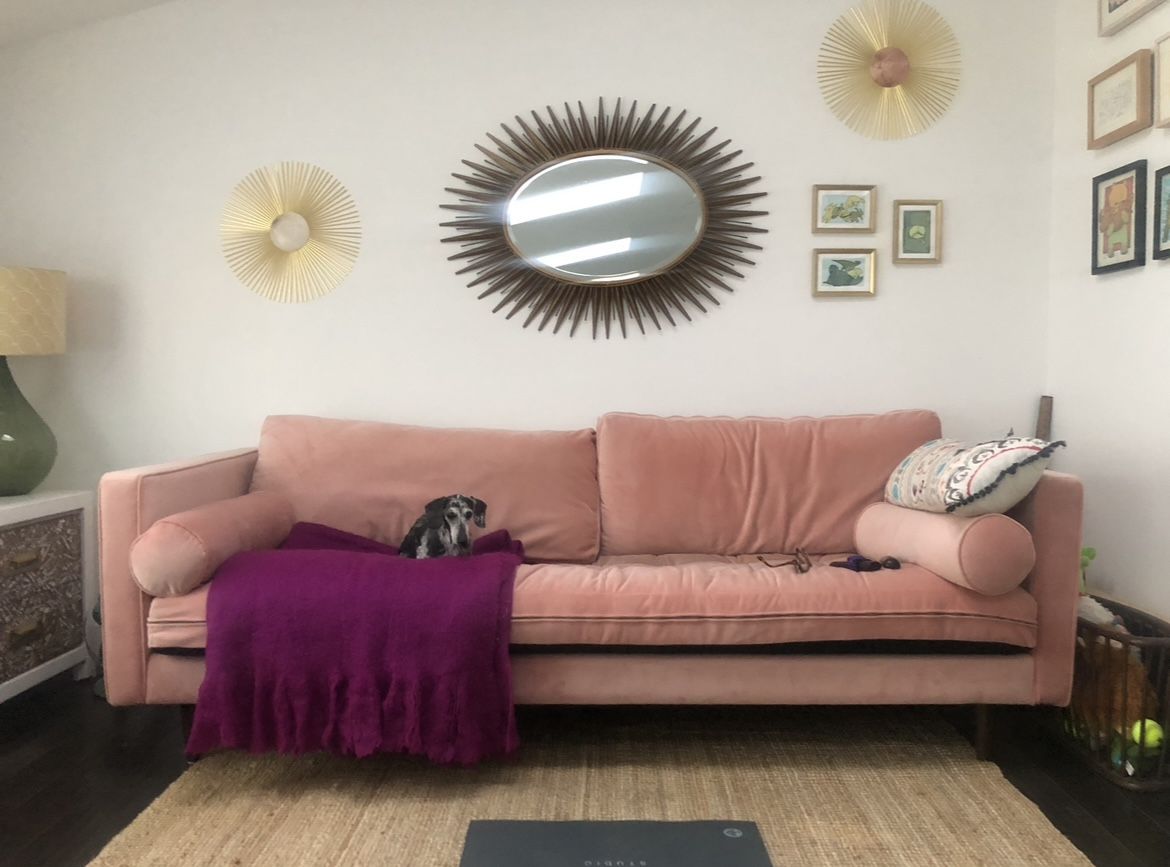 Joybird Briar Sofa Royale Blush Velvet