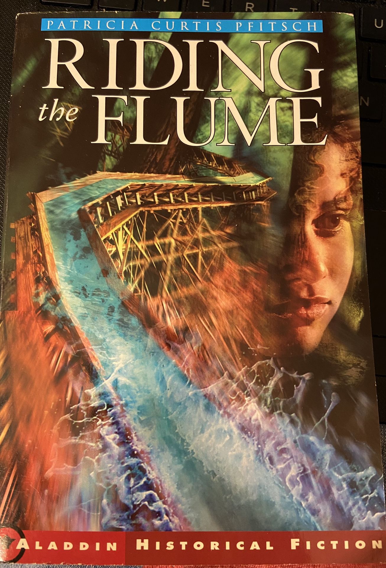 Patricia Curtis-Pfitsch- Riding The Flume