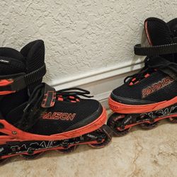 Roller Skates 
