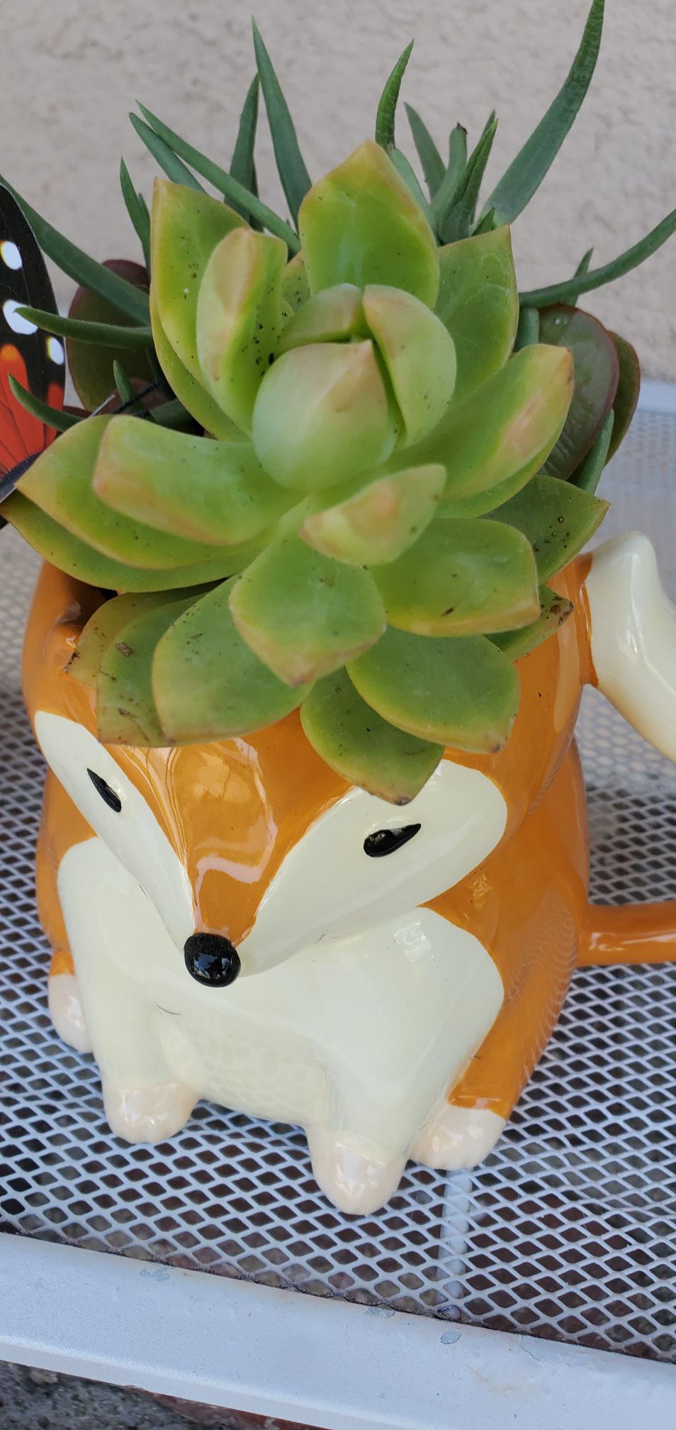 So cute fox planter packed with succullents