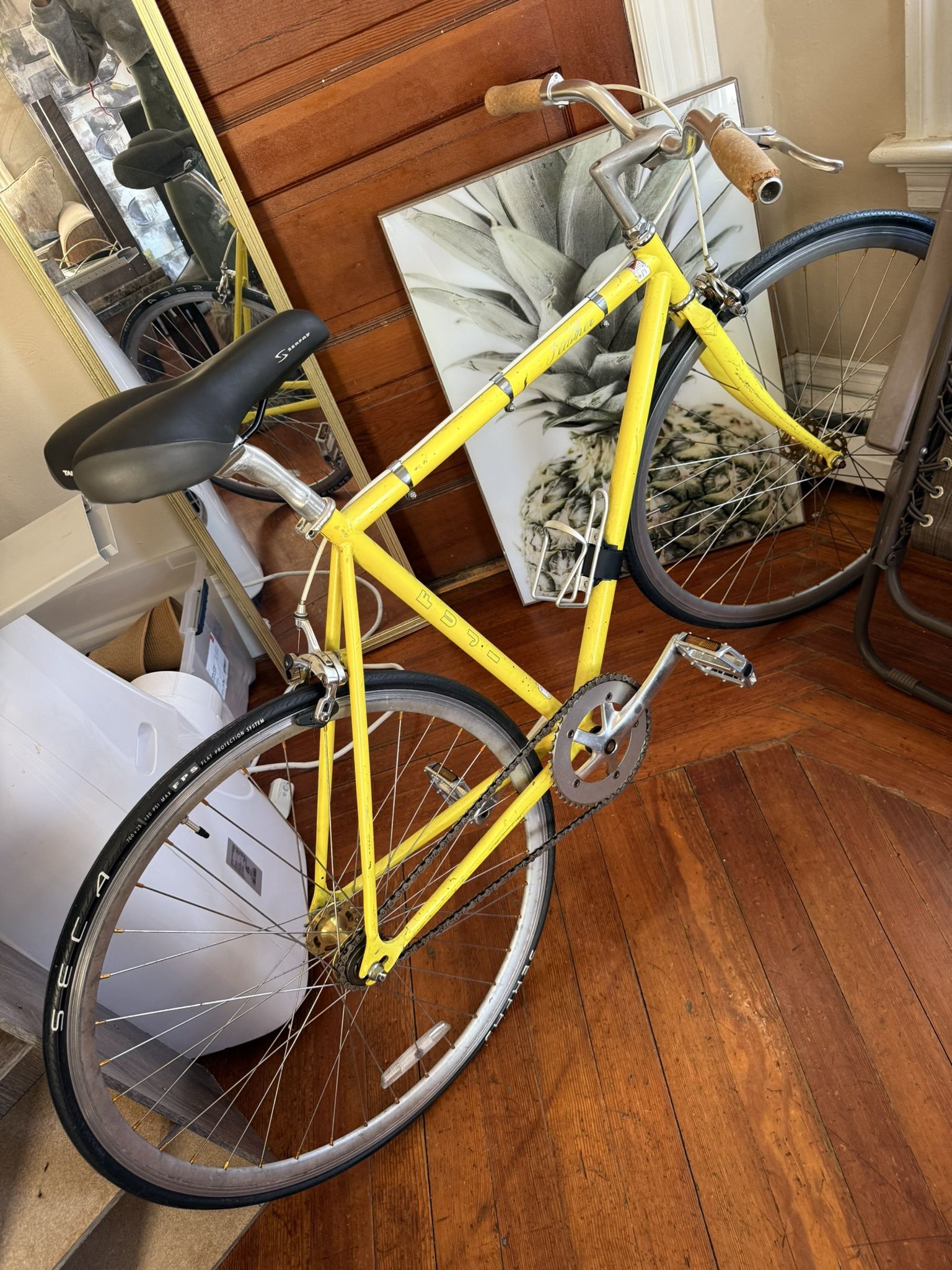 Fuji Bike