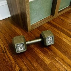 30 Lbs Dumbbell 