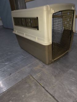 Dog kennel