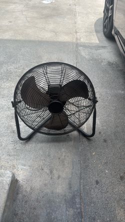 Fan