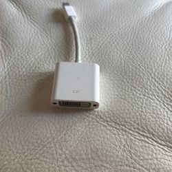Apple Mini DisplayPort to DVI Adapter A1305