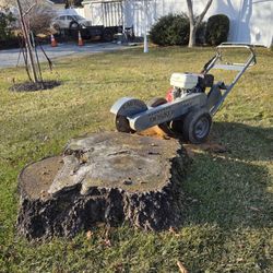 Stump Grinding 