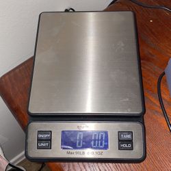 Stainless Steal Digital Postal Scale