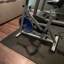 GOLDS GYM Cycle