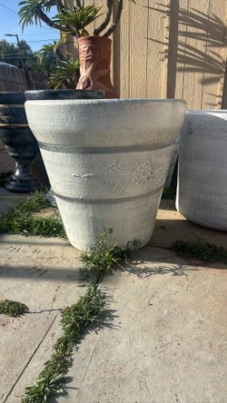 Clay Pot