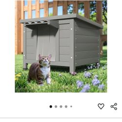 Outdoor Cat House