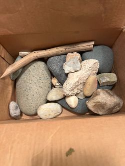 Assorted Rocks & Branch for Reptiles or other Use
