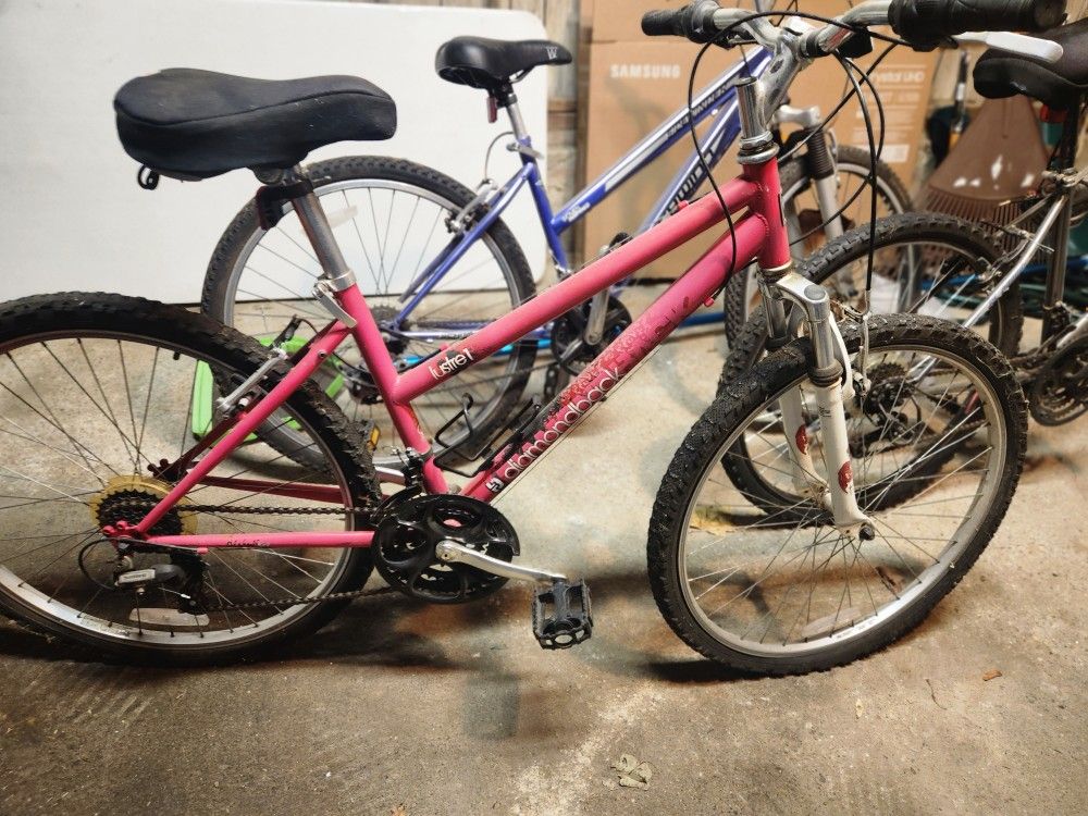 Used Woman 's Roadmaster Schwinn Diamondback  Bikes