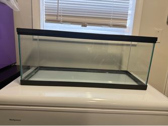 Reptile Tank