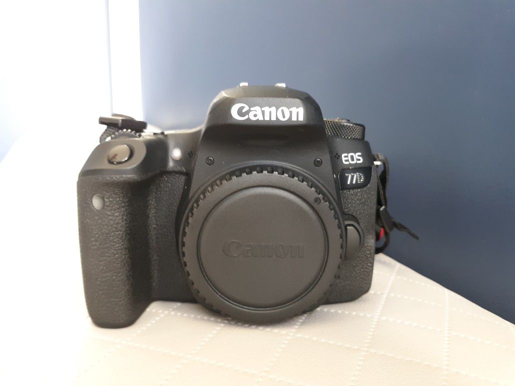 Canon 77D + Canon EF-S 18-55mm f/4-5.6 IS STM Lens