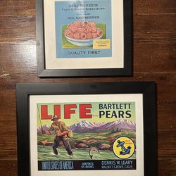 Framed vintage fruit box labels