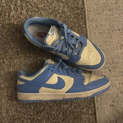 Nike dunks size 11