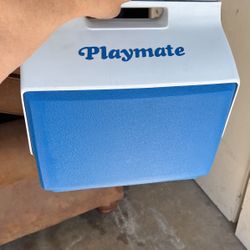 Igloo playmate cooler