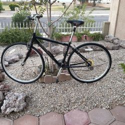 MARLIN C5.O1. 4KENTFIELD 