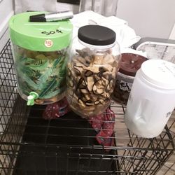 Dog Treats 
