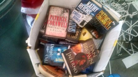 Adult mystery and suspense books