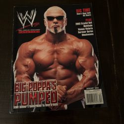 WWE Magazine January 2003 Scott Steiner