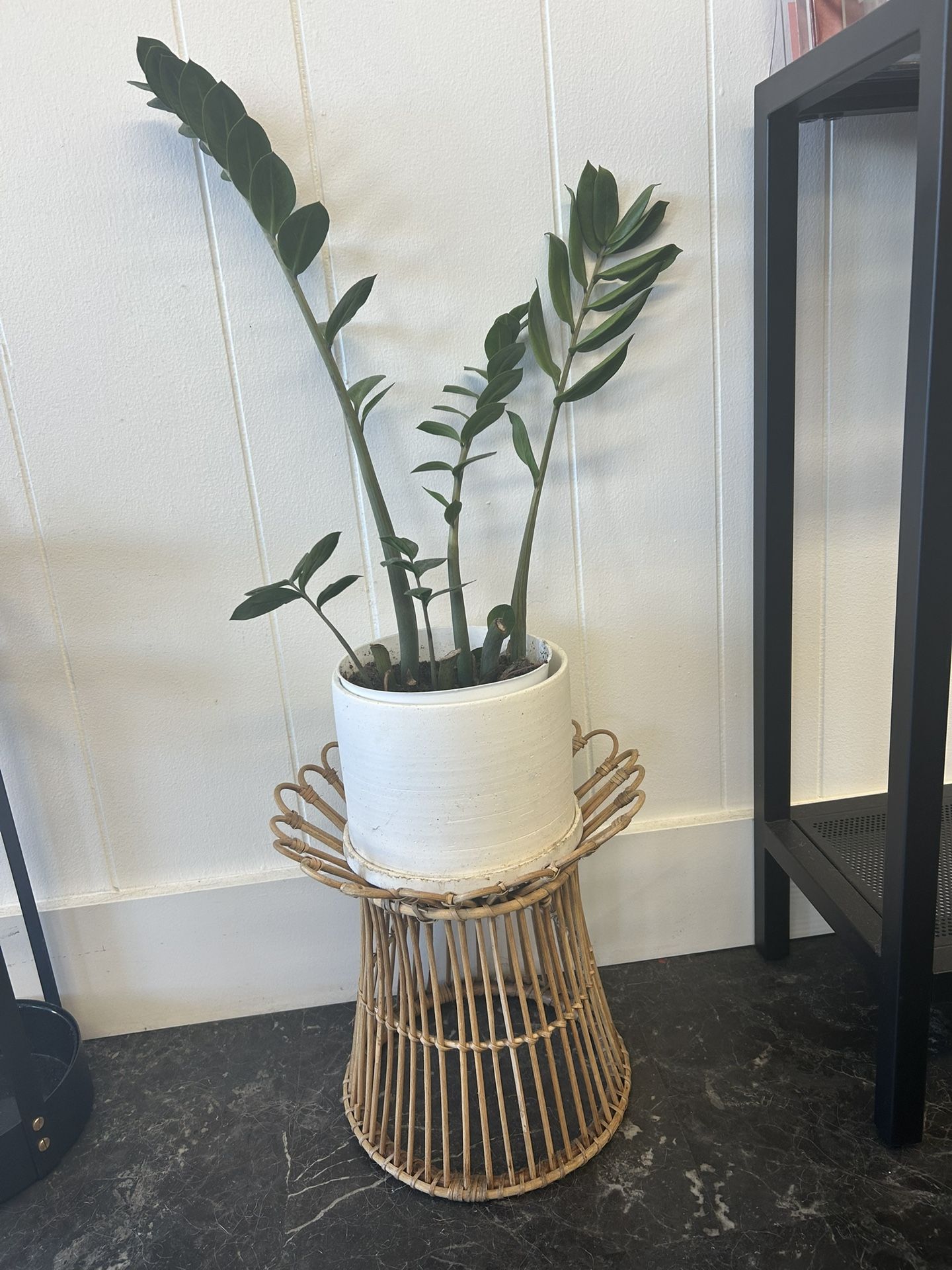 Planter Stand With Pot And Plant