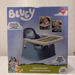 Bluey Booster Seat