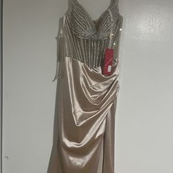 Médium Champagne Dress