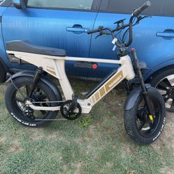 Bandit X Trail Pro Electric Bike 