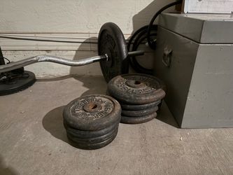 Cast Iron Weight Plates with Curl Bar