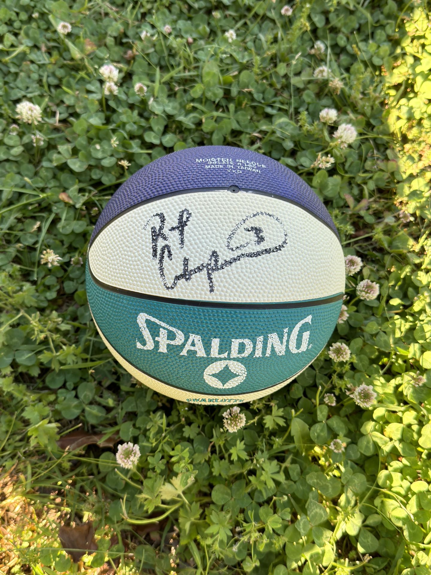 charlotte hornets mini basketball Rex Chapman autograph
