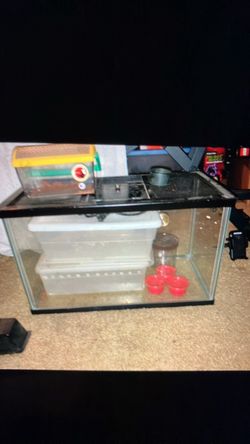 Terrarium small