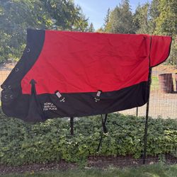 Various Horse Blankets, Coolers, And Fly Sheet 