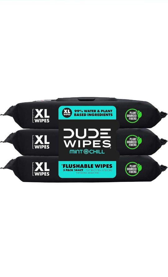 DUDE Wipes - Flushable Wipes - 3 Pack, 144 Wipes - Mint Chill Extra-Large Adult Wet Wipes - Vitamin-E, Aloe, Eucalyptus & Tea Tree Oils - Septic and S