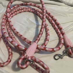 Dog Leash