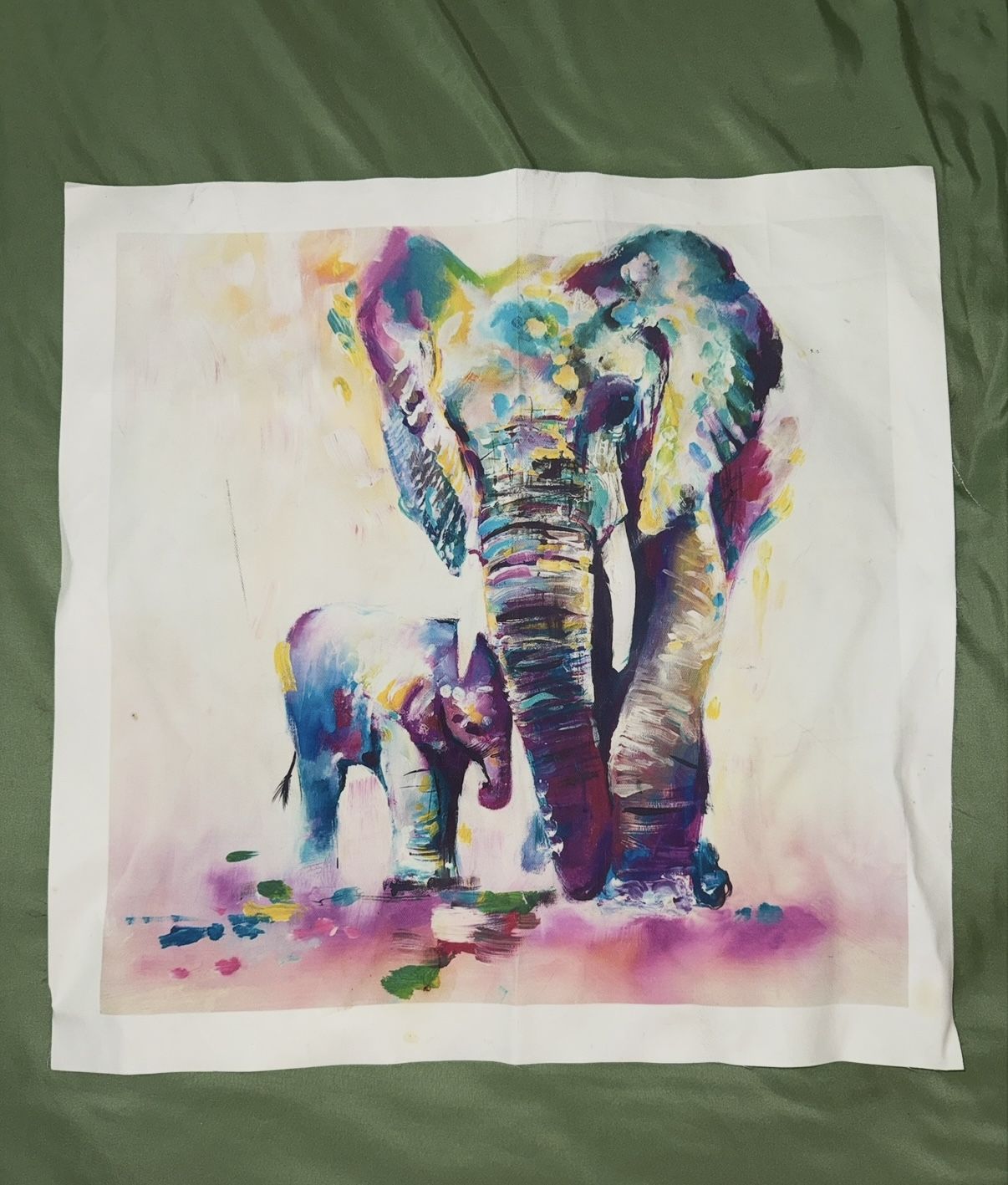 Elephant Canvas Print