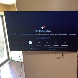65 Inch OLED LG TV