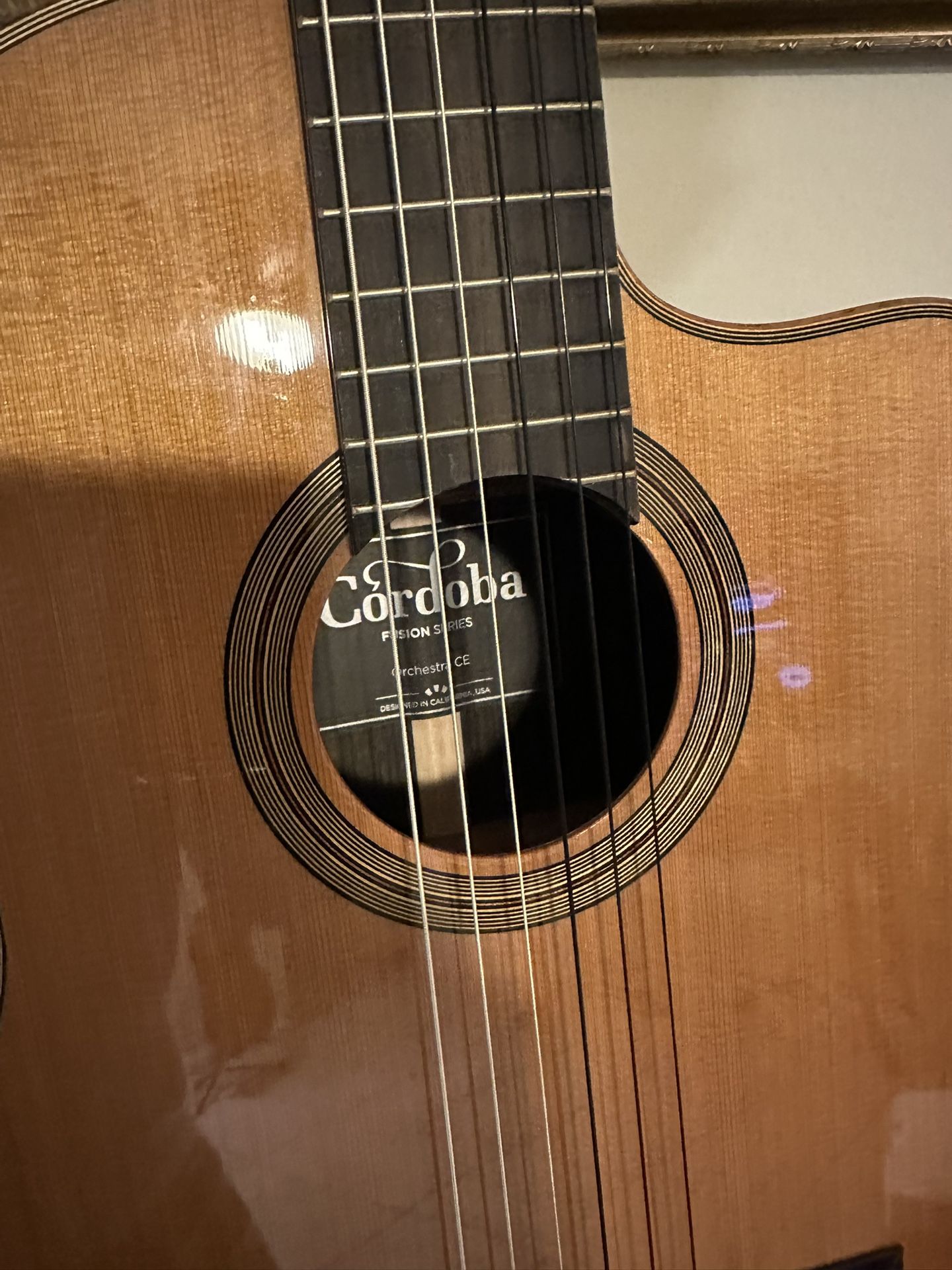 Cordoba Orchestra Guitar