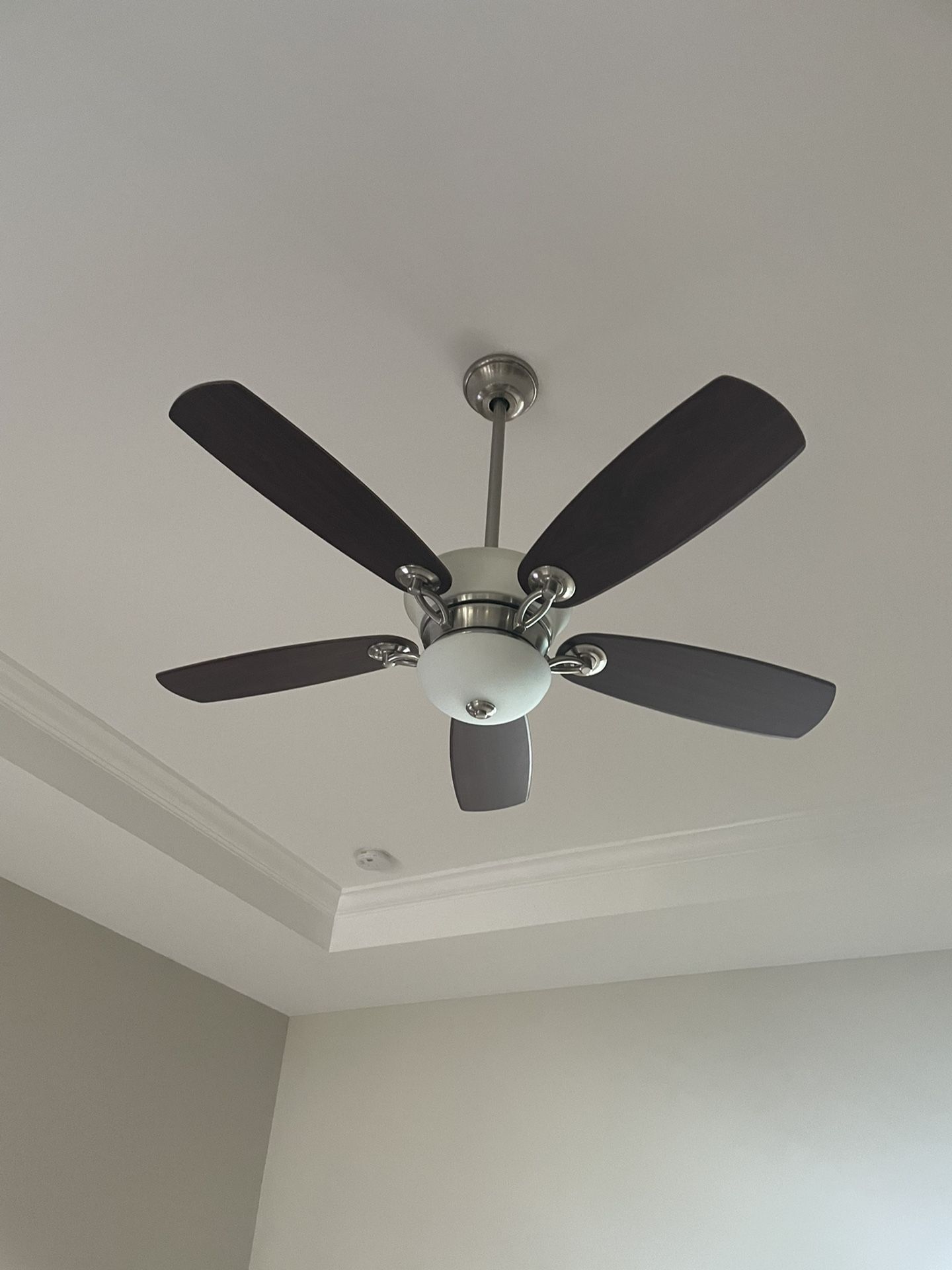 Ceiling Fan With Lighting