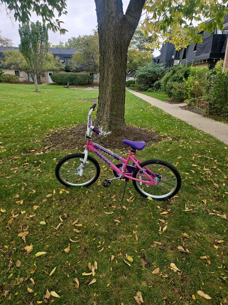 Sapphire Girls Bike