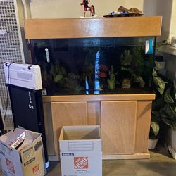 120 Gallon Fish Tank Aquarium