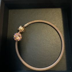 Pandora Bracelet 